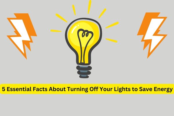 5 Essential Facts About Turning Off Your Lights to Save Energy